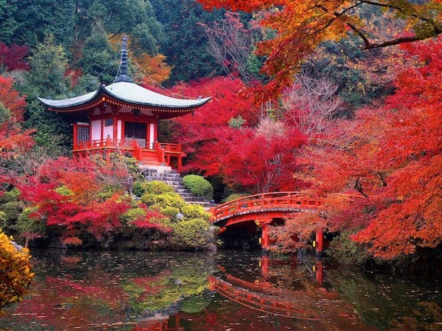 Kyoto+3
