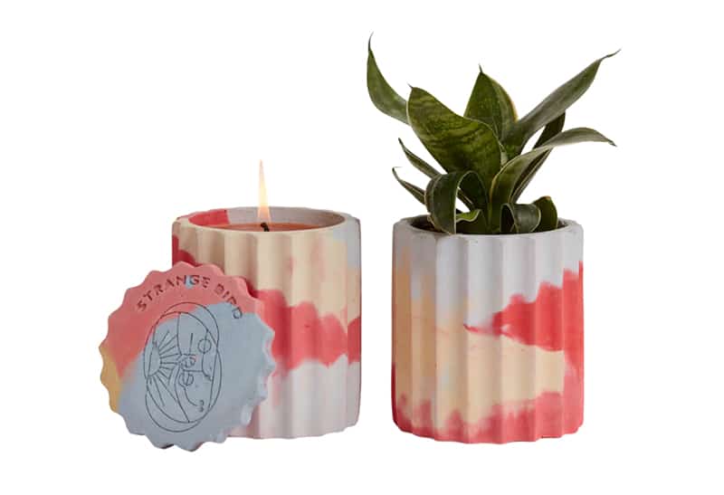 strange bird candle