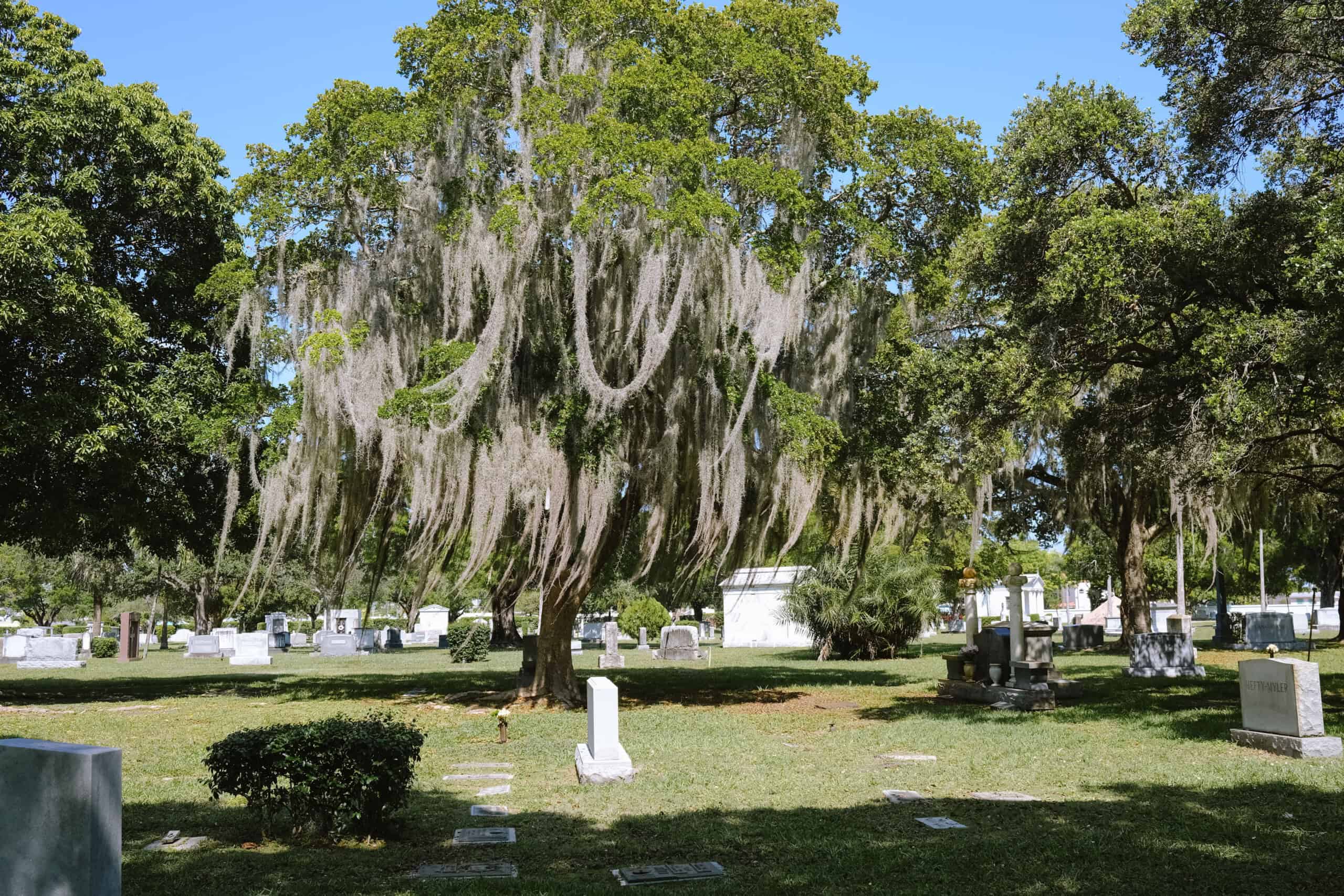 A Eulogy for the Bumbling Dad